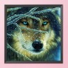 Animal - 14CT Counted Cross Stitch - 40x40cm