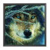 Animal - 14CT Counted Cross Stitch - 40x40cm