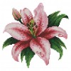 Blooming Lily - 14CT Stamped Cross Stitch - 21x20cm