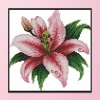 Blooming Lily - 14CT Stamped Cross Stitch - 21x20cm