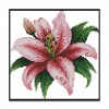 Blooming Lily - 14CT Stamped Cross Stitch - 21x20cm