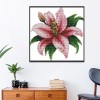 Blooming Lily - 14CT Stamped Cross Stitch - 21x20cm