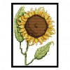 Girasol Sunflower - 14CT Stamped Cross Stitch - 27x19cm