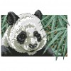 Panda - 14CT Stamped Cross Stitch - 26*19cm