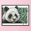Panda - 14CT Stamped Cross Stitch - 26*19cm