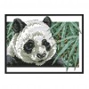 Panda - 14CT Stamped Cross Stitch - 26*19cm