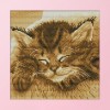 Sleeping cat - 14CT Stamped Cross Stitch - 22*22cm