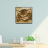Sleeping cat - 14CT Stamped Cross Stitch - 22*22cm