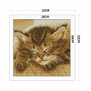 Sleeping cat - 14CT Stamped Cross Stitch - 22*22cm