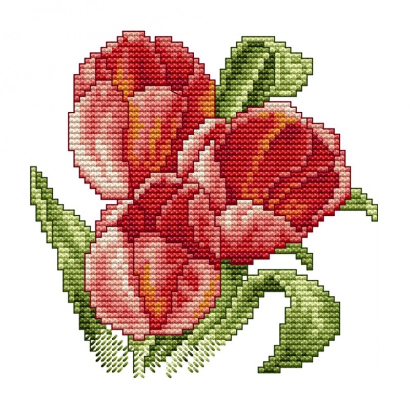 Flower Of Happiness ...