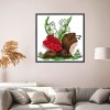 Ladybug baby - 14CT Stamped Cross Stitch - 22*20cm