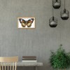 Butterfly - 14CT Stamped Cross Stitch - 21x15cm