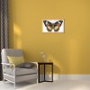 Butterfly - 14CT Stamped Cross Stitch - 21x15cm