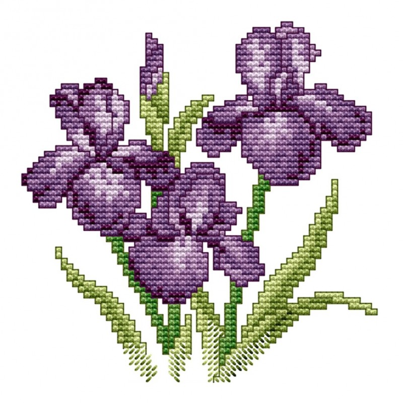 Flower Of Happiness ...
