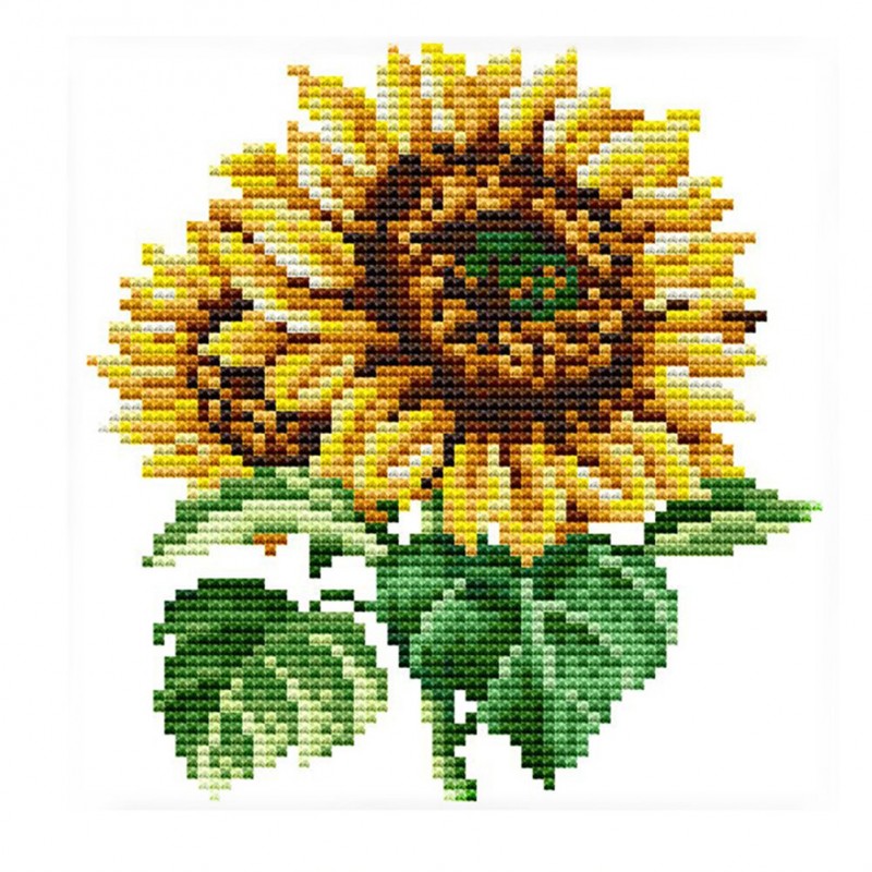 Girasol Sunflower - ...