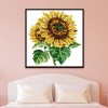Girasol Sunflower - 14CT Stamped Cross Stitch - 17x17cm