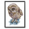 Beautiful Owl - 14CT Stamped Cross Stitch - 15*20cm