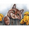 5D Full Round Drill Mosaic Craft DIY Bemused Cat Diamond Painting Poster