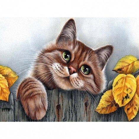 5D Full Round Drill Mosaic Craft DIY Bemused Cat Diamond Painting Poster