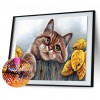 5D Full Round Drill Mosaic Craft DIY Bemused Cat Diamond Painting Poster