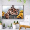 5D Full Round Drill Mosaic Craft DIY Bemused Cat Diamond Painting Poster