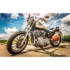 Motorcycle - Full Square Diamond - 40x30cm