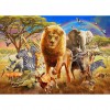 Animals  - Full Round Diamond - 40x30cm