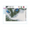 Blue Eyed Cat - Full Round Diamond - 40x30cm