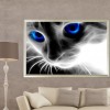 Blue Eyed Cat - Full Round Diamond - 40x30cm