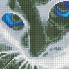 Blue Eyed Cat - Full Round Diamond - 40x30cm