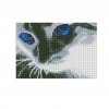 Blue Eyed Cat - Full Round Diamond - 40x30cm
