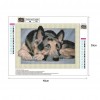 Mosaic  - Full Round Diamond - 40x30cm