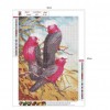 Parrots - Full Round Diamond - 40x30cm