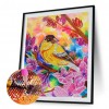 Bird - Full Round Diamond - 30*40cm