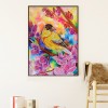 Bird - Full Round Diamond - 30*40cm
