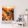 Car - Full Round Diamond - 30*40cm