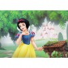 Snow White - Full Round Diamond - 40*30cm