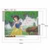 Snow White - Full Round Diamond - 40*30cm