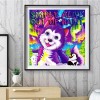 Cats And Dogs - Full Round Diamond - 30*30cm