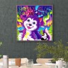Cats And Dogs - Full Round Diamond - 30*30cm