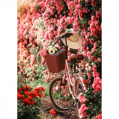 Bicycle - Full Round Diamond - 30*40cm