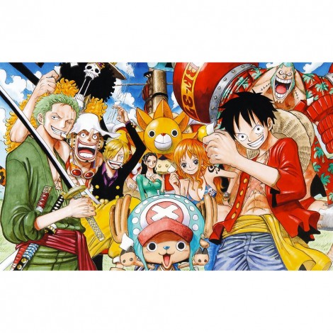 One Piece - Full Round Diamond - 50*40cm