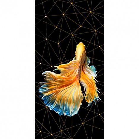 Smart Goldfish - Full Round Diamond - 45*85cm