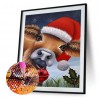 Santa Claus - Full Round Diamond - 30*40cm