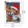 Santa Claus - Full Round Diamond - 30*40cm