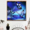 Animal - Full Round Diamond - 30x30cm