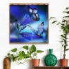 Animal - Full Round Diamond - 30x30cm