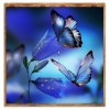 Animal - Full Round Diamond - 30x30cm