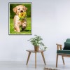 Dog - Full Round Diamond - 30x40cm