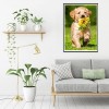 Dog - Full Round Diamond - 30x40cm